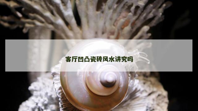 客厅凹凸瓷砖风水讲究吗