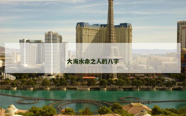 大海水命之人的八字