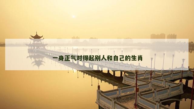 一身正气对得起别人和自己的生肖