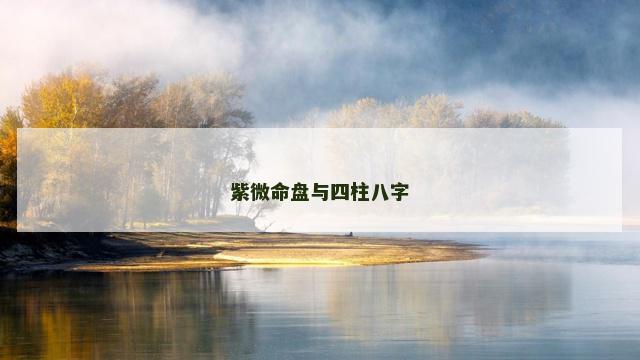紫微命盘与四柱八字