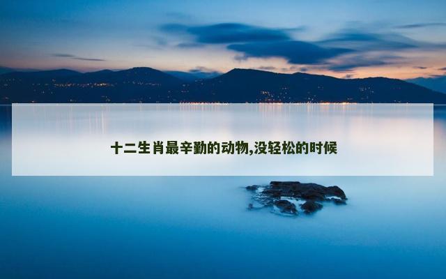 十二生肖最辛勤的动物,没轻松的时候