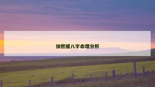 徐熙媛八字命理分析