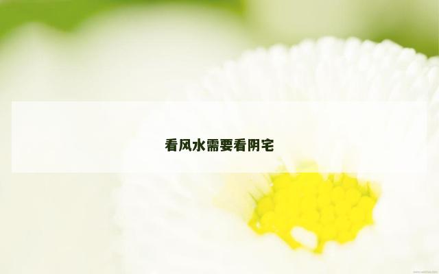 看风水需要看阴宅