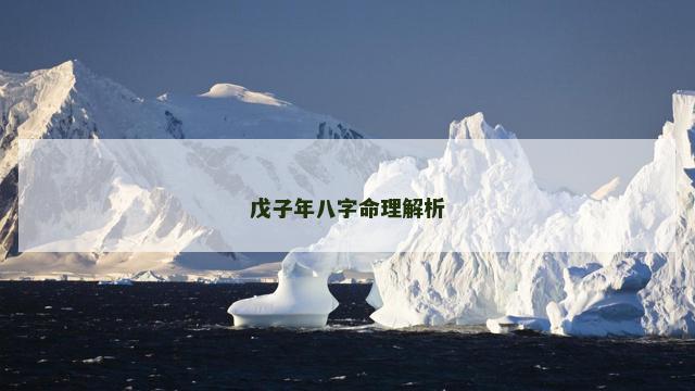戊子年八字命理解析