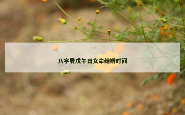 八字看戊午日女命结婚时间