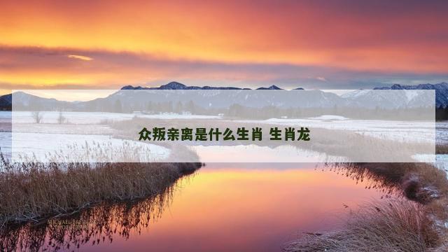 众叛亲离是什么生肖 生肖龙