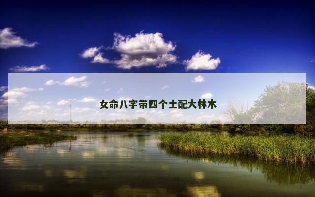 女命八字带四个土配大林木