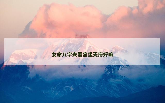 女命八字夫妻宫坐天府好嘛