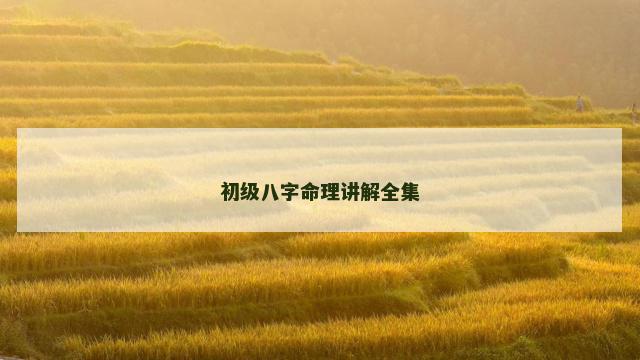 初级八字命理讲解全集