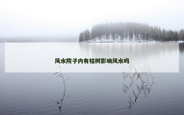 风水院子内有枯树影响风水吗
