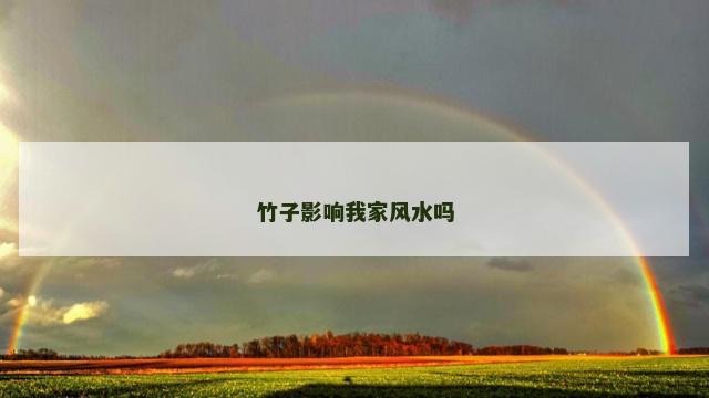 竹子影响我家风水吗