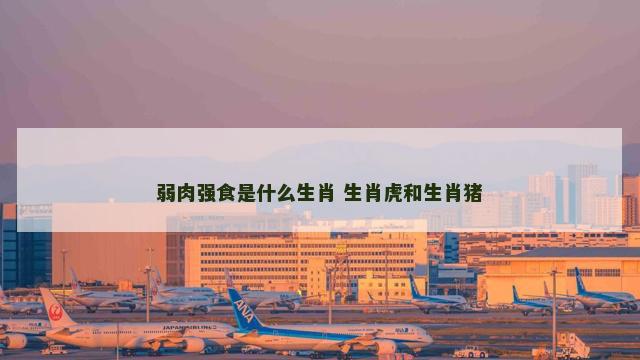 弱肉强食是什么生肖 生肖虎和生肖猪