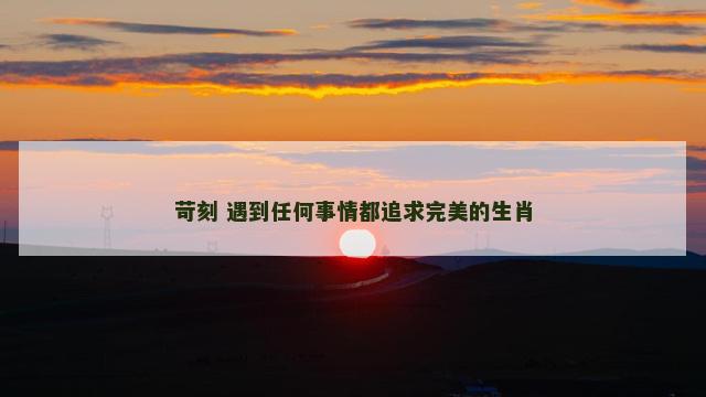 苛刻 遇到任何事情都追求完美的生肖