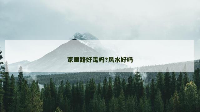 家里路好走吗?风水好吗