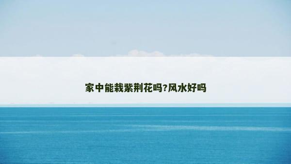 家中能栽紫荆花吗?风水好吗