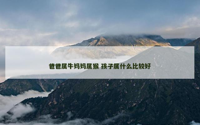 爸爸属牛妈妈属猴 孩子属什么比较好