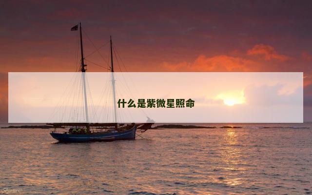 什么是紫微星照命