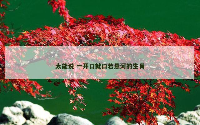 太能说 一开口就口若悬河的生肖