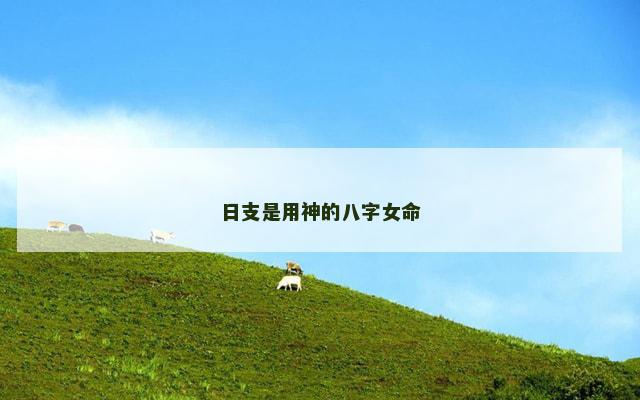 日支是用神的八字女命