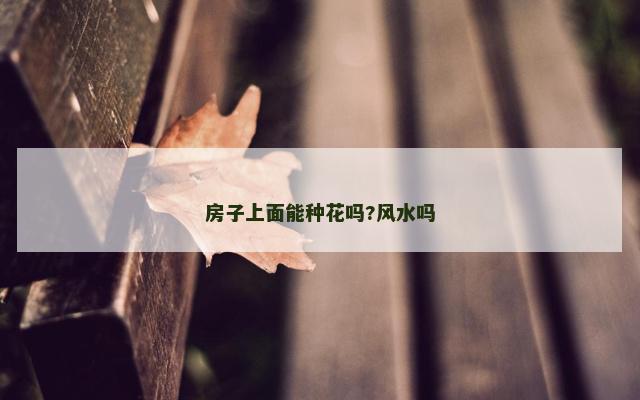 房子上面能种花吗?风水吗