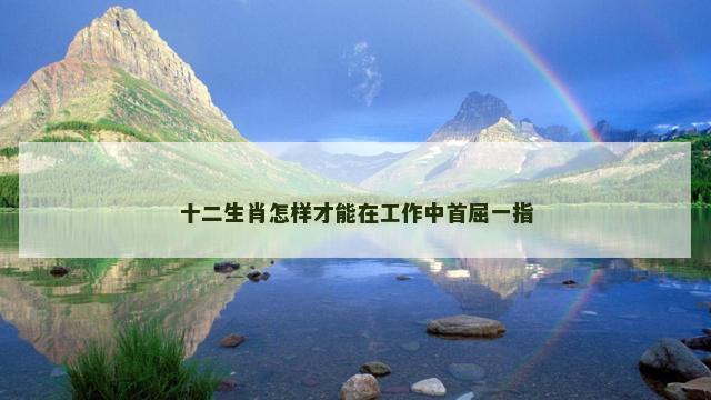十二生肖怎样才能在工作中首屈一指