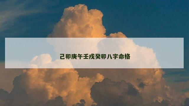 己卯庚午壬戌癸卯八字命格
