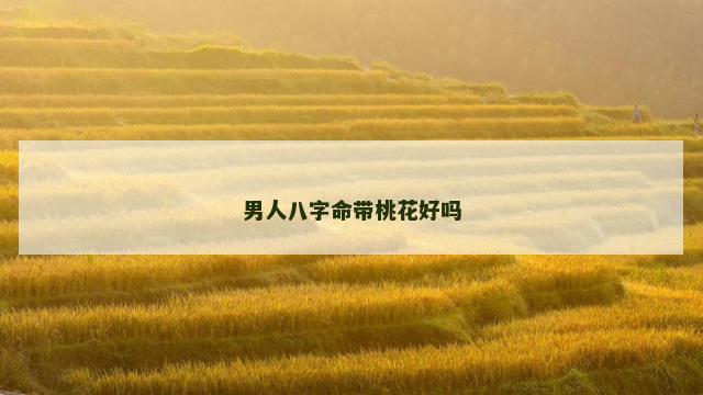 男人八字命带桃花好吗