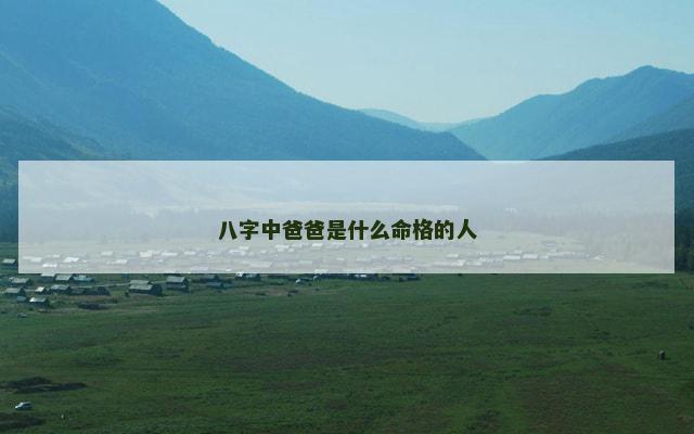 八字中爸爸是什么命格的人