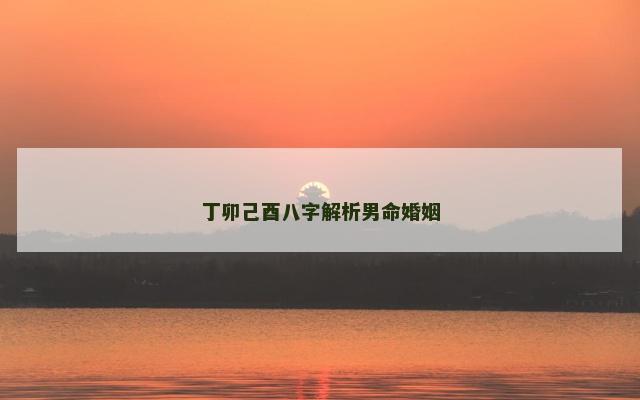 丁卯己酉八字解析男命婚姻