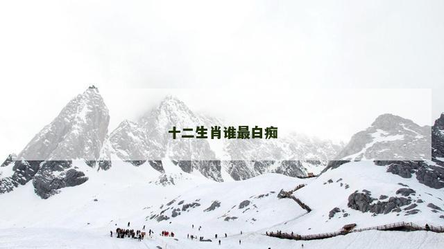 十二生肖谁最白痴