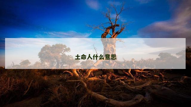 土命人什么意思