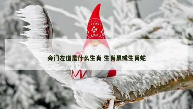 旁门左道是什么生肖 生肖鼠或生肖蛇