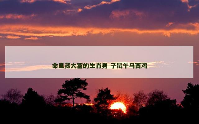 命里藏大富的生肖男 子鼠午马酉鸡