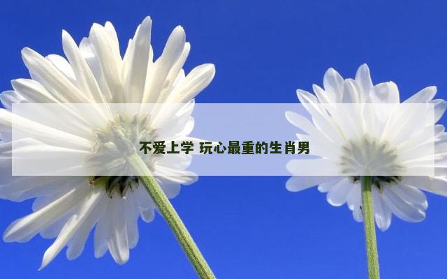 不爱上学 玩心最重的生肖男