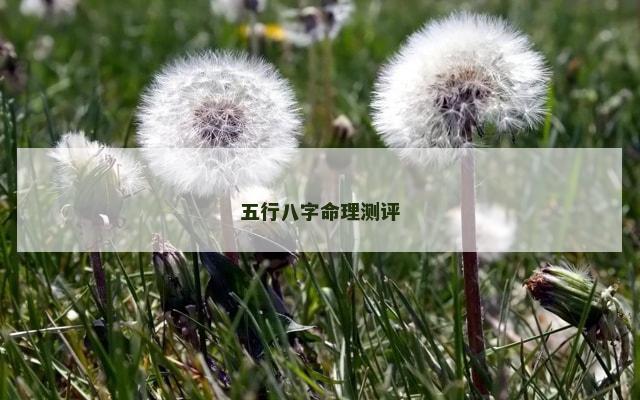 五行八字命理测评