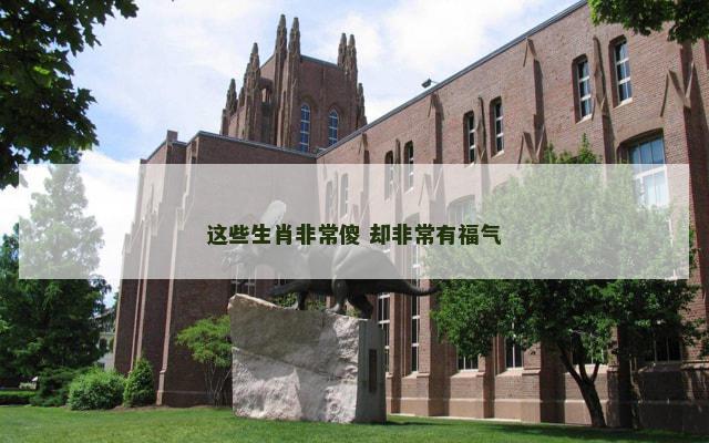 这些生肖非常傻 却非常有福气