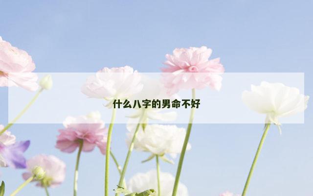 什么八字的男命不好