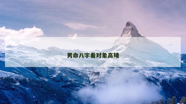 男命八字看对象高矮