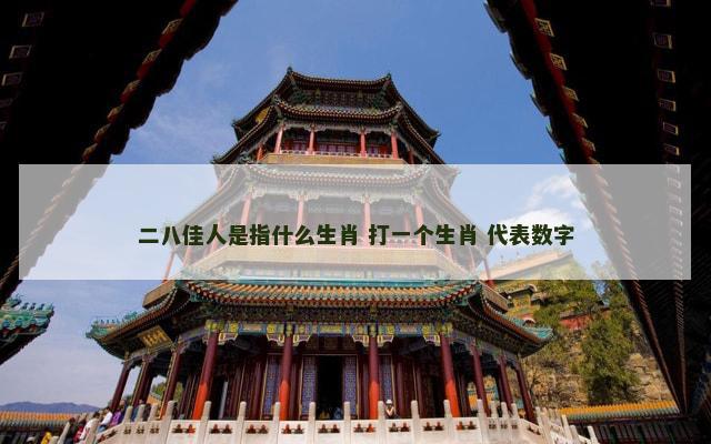二八佳人是指什么生肖 打一个生肖 代表数字