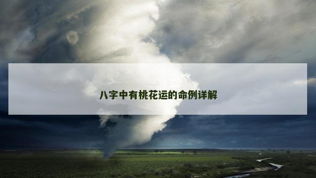 八字中有桃花运的命例详解