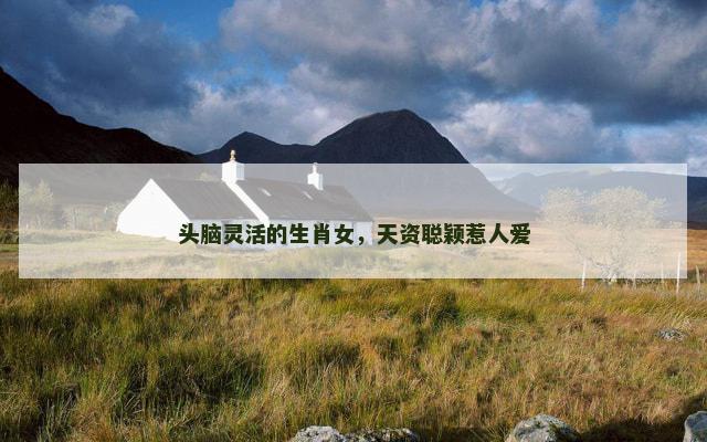 头脑灵活的生肖女，天资聪颖惹人爱