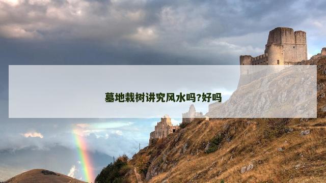 墓地栽树讲究风水吗?好吗