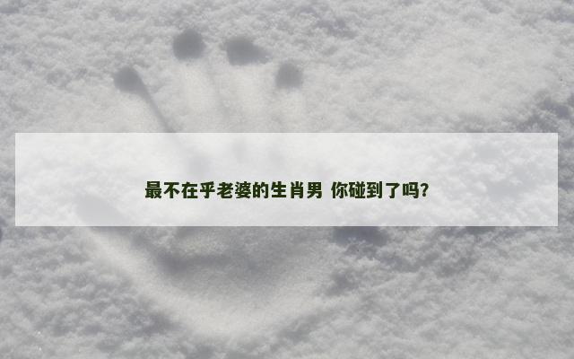 最不在乎老婆的生肖男 你碰到了吗？