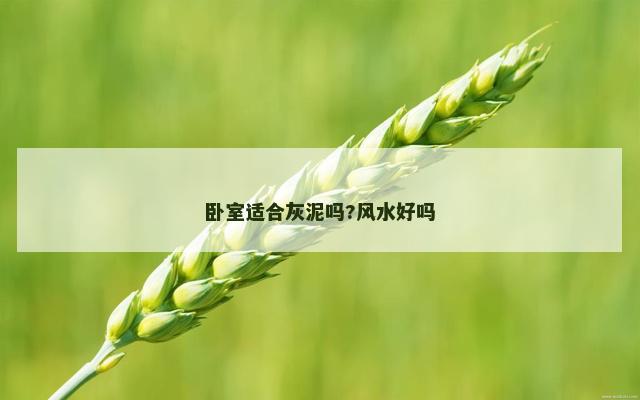 卧室适合灰泥吗?风水好吗