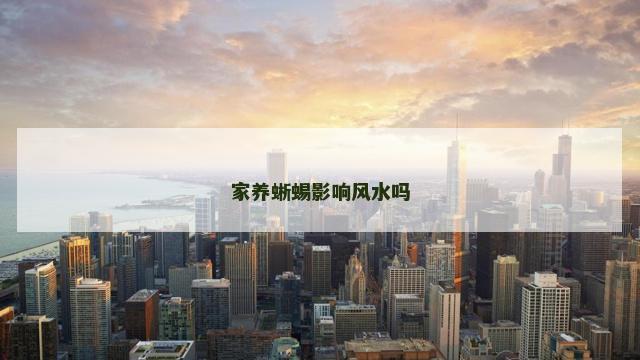 家养蜥蜴影响风水吗
