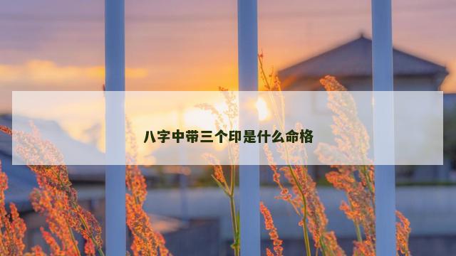 八字中带三个印是什么命格