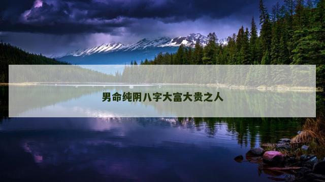 男命纯阴八字大富大贵之人