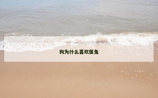 狗为什么喜欢属兔