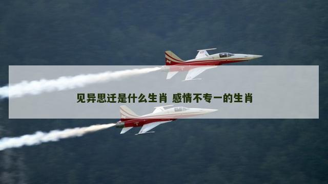 见异思迁是什么生肖 感情不专一的生肖