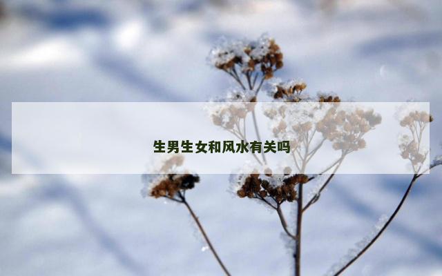 生男生女和风水有关吗